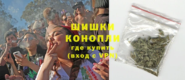 стаф Бородино
